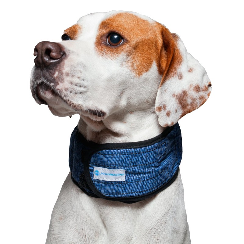 Aqua Coolkeeper Pacific Necklace Refreshing, Blue