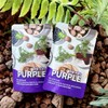 ChamDeun Health Science 퍼플 야채수 100ml x 30포 Purple Vegetable