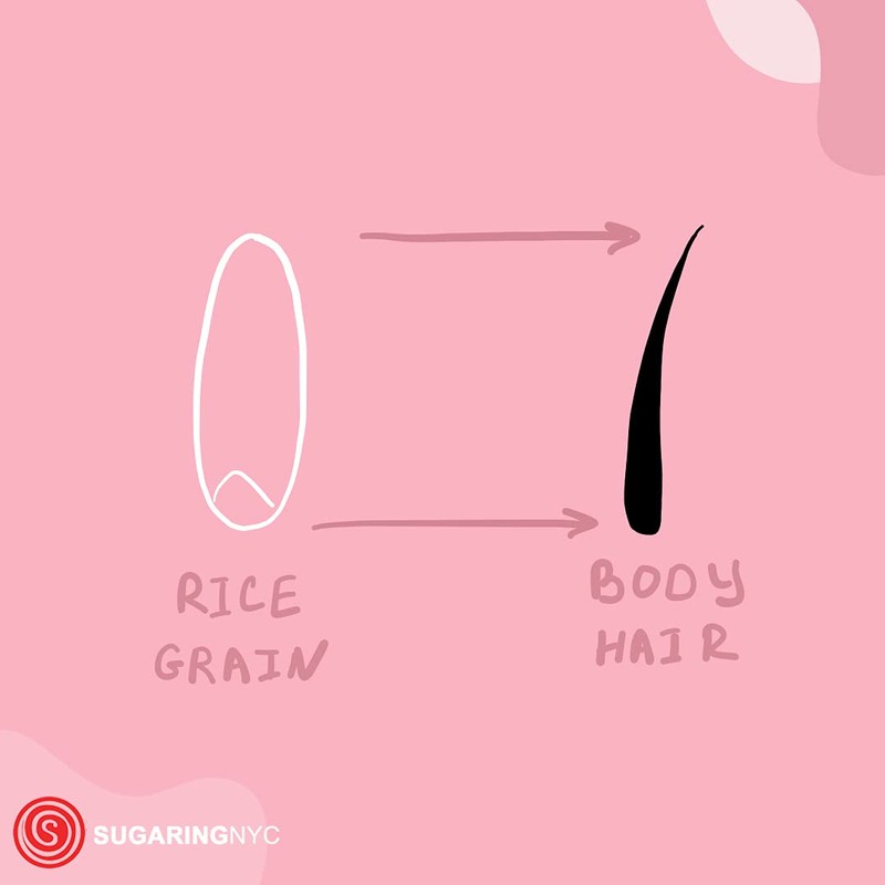 Sugaring Paste Standard For All Body Parts - Bikini, Brazilian,