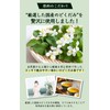 Natural Food Dokudami Tea Bags, Made in Japan, Dokudami Tea,