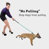 Slip-Lead Dog-Leash Medium-Training Rope - 6ft Foot Big Large Reflective