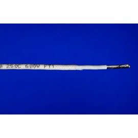 Appliance wire 12 AWG TGGT 250C 600V (10ft)