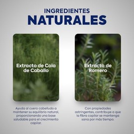 Shampoo Control Caída, con Activos Etnobotánicos (Romero y Cola de Caballo), 360 ml, Fórmula Fortalecedora para la Pérdida de Cabello y Brillo Natural