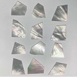 World of Shell Inlay Supplies 1 oz White Mother of Pearl Blanks .060" Thickness Perfect for Guitars, Banjos, Mandolins, Jewelry, Woodworkers, Luthiers, DIY, Professionals and Hobbyists