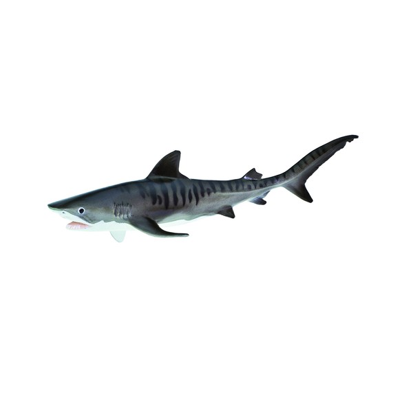 Safari Ltd  Monterey Bay Aquarium Sea Life Tiger Shark