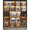 LASOA Acrylic Display Case for Collectibles, Alternative Glass Display Box