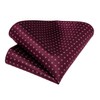 DiBanGu Men's Tie Set Silk Striped Checked Tie with Pocket