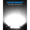 Yorkim Super Bright 578 LED Bulb White 41mm 42mm led