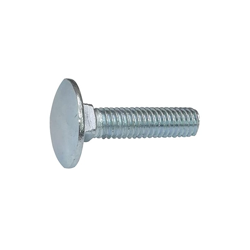 AERZETIX - C48982 - Set of 100 sledge screws/round head