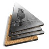 4 x Triangle Coasters - BW - Red Northern Cardinal