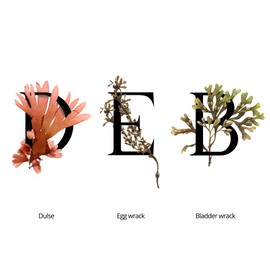 SEAWEED ORGANICS - The Mid Seaweed Rejuvenating Cream, Organic Scottish Dulse, Egg wrack, Bladder wrack extract, Night cream, For all Skin, SCPN in the UK, 50g, DIANA DRUMMOND