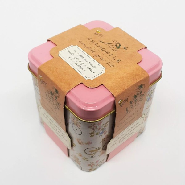 Buzzy NEW Complete Chamomile Tea Grow Kit Tin by Buzzy