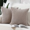 Madizz Pack of 2 Soft Corduroy Decorative Throw Pillow Covers