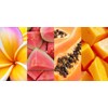 HAWAIIAN TROPIC - Satin Protection | Sun Lotion with Mango