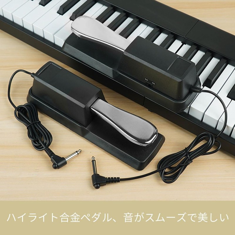Damper Pedal, Sustain Pedal, Key, Foot Pedal, Electronic Organ Electric