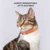 Sucegi Stretch Elastic Cat Collar with Bell - Adjustable Non