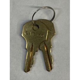 2 CAT 60 Keys for Gamewell Fire Alarms