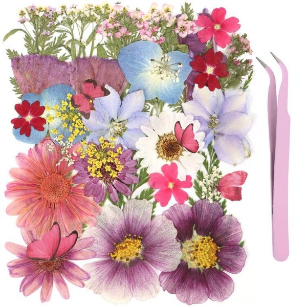 NATISERAUM NATISERAUM Total 75Pcs Natural Pressed Dried Flowers and Butterflies