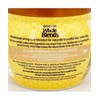 Garnier Whole Blends Repairing Honey Extracts Mask 10.1oz Lot of