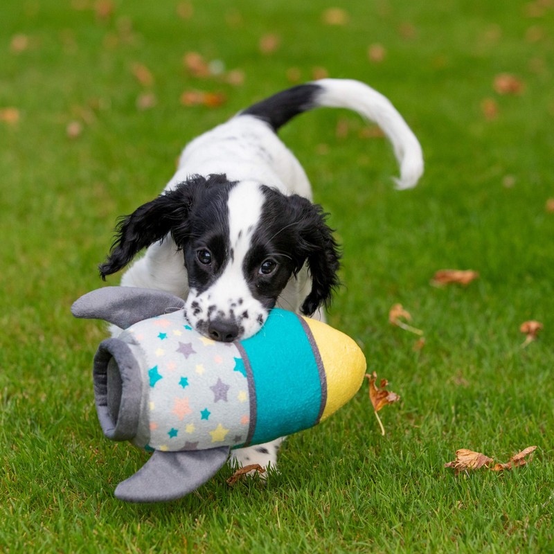 Petface (Little Rocket Plush Puppy Dog Toy