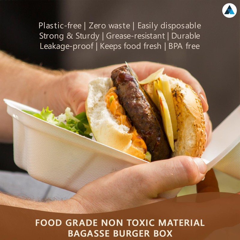 Nationwide Paper Takeaway Bagasse Sugarcane Burger Box (50)