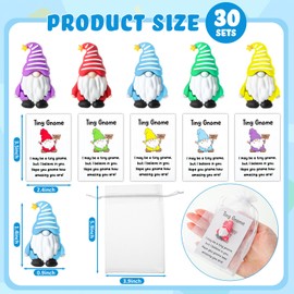DoubleFill 30 Sets Good Luck Positive Gifts Bulk Include Mini Gnomes Figurines, Encouragement Blessing Cards and Gift Pockets Bulk for Graduation Coworkers Fairy Yard Lawn Garden DIY Crafts