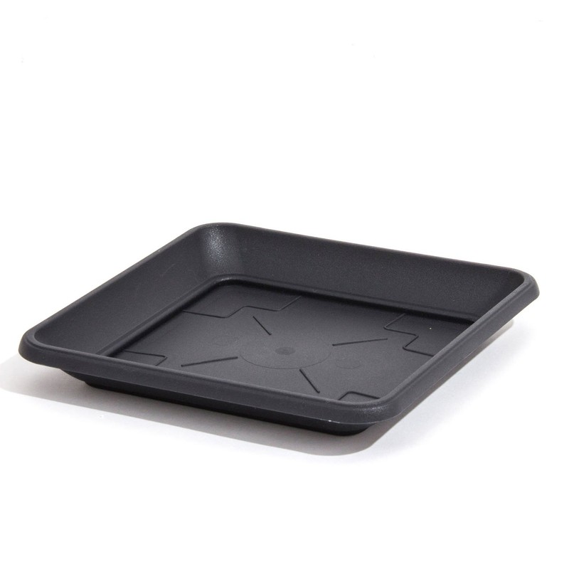 Prosperplast Quadratischer Untersetzer für Blumenkübel Pflanzkübel anthrazit 17 x 17