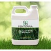 Penterra Soil Penetrant and Wetting Agent – Promotes Water Movement