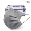 Domestic reference silver disposable mask 200 sheets large gray -