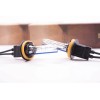 Morimoto XB H11b 5000K HID Bulb ( one pair )