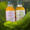 Shampoo Y Acondicionador Jengibre, Anticaida, Suave, Brillo