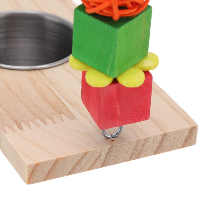 Bird Feeding Dish Cups with Parrot Perch Swing Natural Colorful