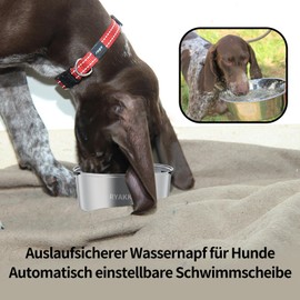 RYAKKA Water Bowl for Dog, 3L Large Capacity Dog Water Bowl Stainless Steel Non Spill Dog Bowls Slow Drinking Dog Water Feeder Dispenser for Pets (Not Include Fliter)