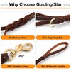 Guiding Star Double Handle Leather Dog Leash 6ft, Heavy Duty