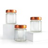 GPK4ALL 5oz Glass Jar with Metal Lids, Pack of 12