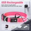 LED Dog Collar, Light Up Dog Collar, USB Rechargeable -