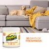 Pets Rule OdoBan Solid Odor Absorber Air Freshener, 14 Ounce