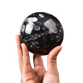 AMOYSTONE Decorative Ball Natural Healing Crystals Sphere Moroccan Orthoceras Fossil Ball Polished Divination Ball 81-90mm Stone Crystal Sphere with Stone Stand for Meditation, Yoga