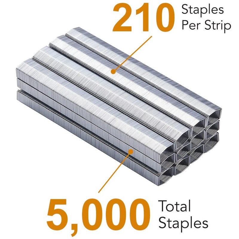 Staples 2 Pack, B8 Staples 1 4 - Heavy Duty