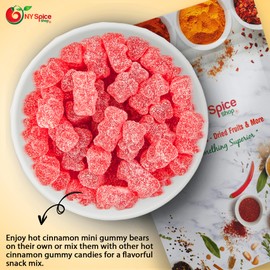 NY Spice Shop Cinnamon Bears - 1 Pound Sweet and Spicy Cinnamon Gummy Bears - Tasty Cinnamon Bears Candy - Fruit Juice Hot Gummy Bear - Cinnamon Gummies - Chewy Cinnamon Bear Candy for all
