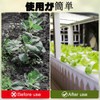 Dekori Hydroponic Growing Sponge, Vegetable Planting Sponge, Hydroponic Cultivator, 300