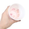 Kirby Dream Land (Melamine Cup) Melamine Tumbler/Clear Dance