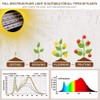 bseah Grow Light Plant Lights for Indoor Plants, Full Spectrum