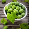 Outsidepride Mouse Melon AKA Mexican Sour Gherkin, Mexican Sour Cucumber