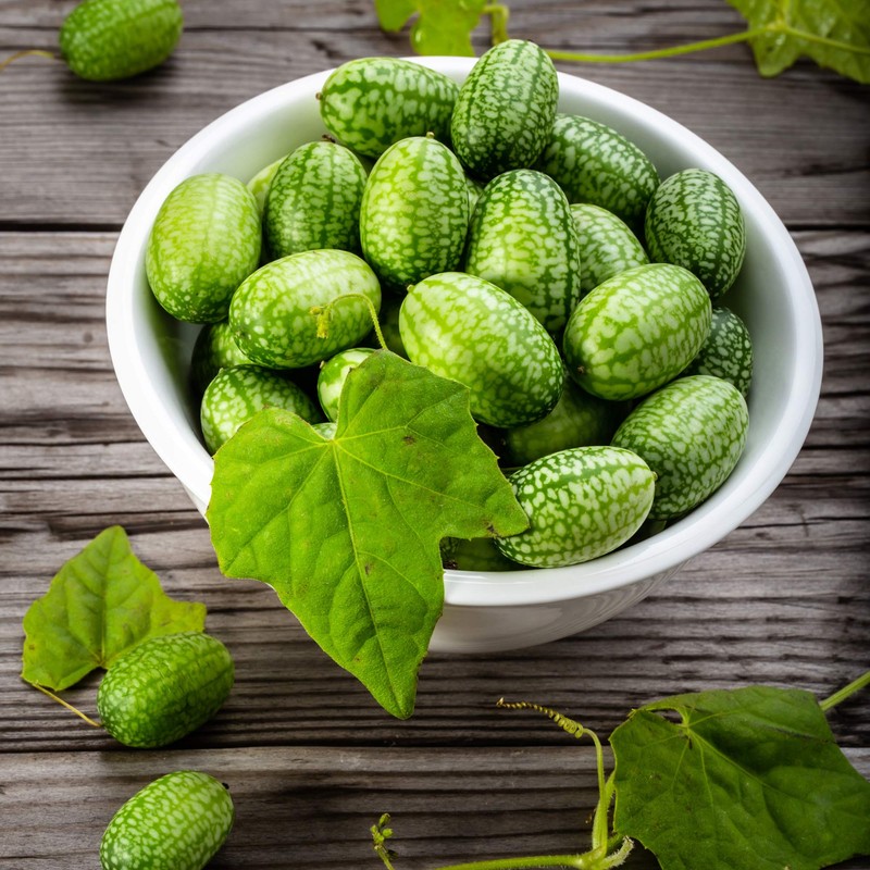 Outsidepride Mouse Melon AKA Mexican Sour Gherkin, Mexican Sour Cucumber
