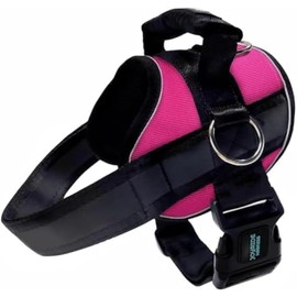Joyride Harness 2.0 - The Original Side Ring No Pull Dog Harness - No Choke, Escape Proof, Reflective, 3 Leash Clips, Quick Fit Pet Vest - Easy Walks & Training - for Small, Medium & Large Dogs