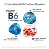 High Strength Magnesium Supplements - 180 Vegan Marine Magnesium Capsules