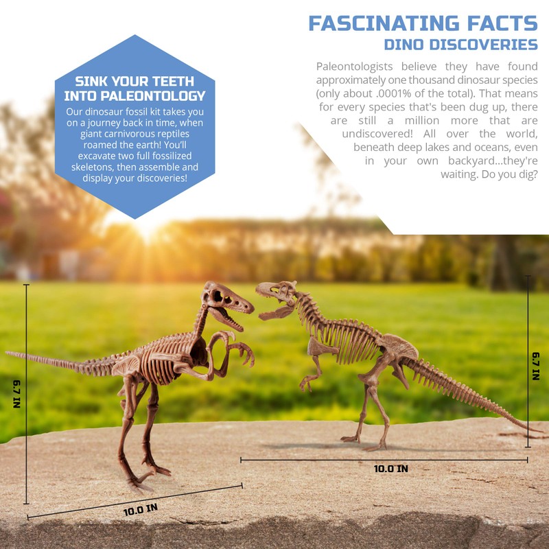 Discovery #MINDBLOWN Dinosaur Fossil Dig Excavation Kit, 15-Piece T-Rex &