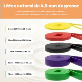 Bandas de Resistencia para Ejercicio, Juego de 5 Bandas con Asas | Amplia gama de niveles de resistencia, Material TPE seguro, Fácil de guardar