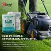 A-List Low Input Mixture Lawn Seed - Premium Grass Seeds